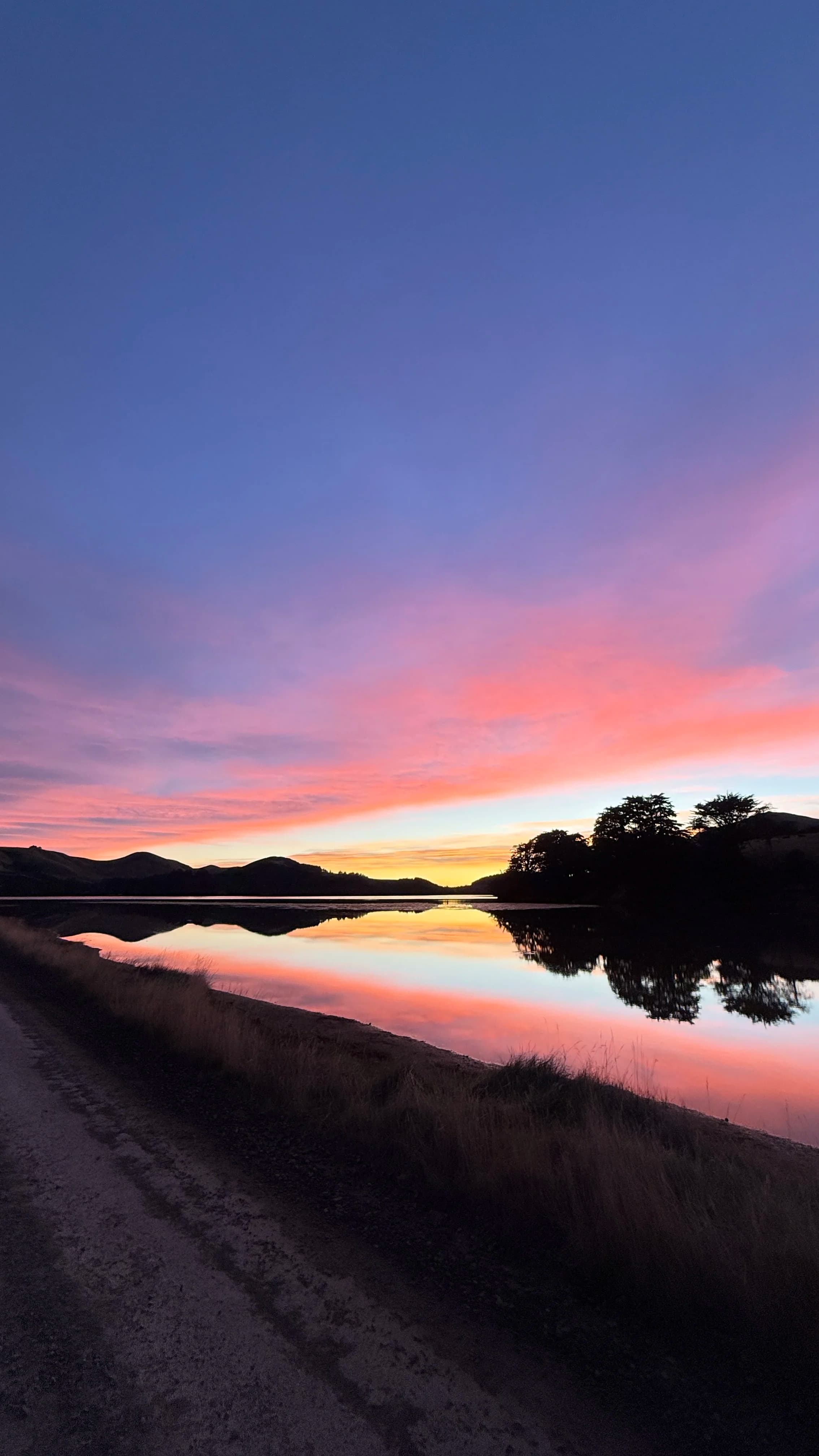 A serene sunset over a calm inlet with pink and blue reflections. AI for New Zealand business.