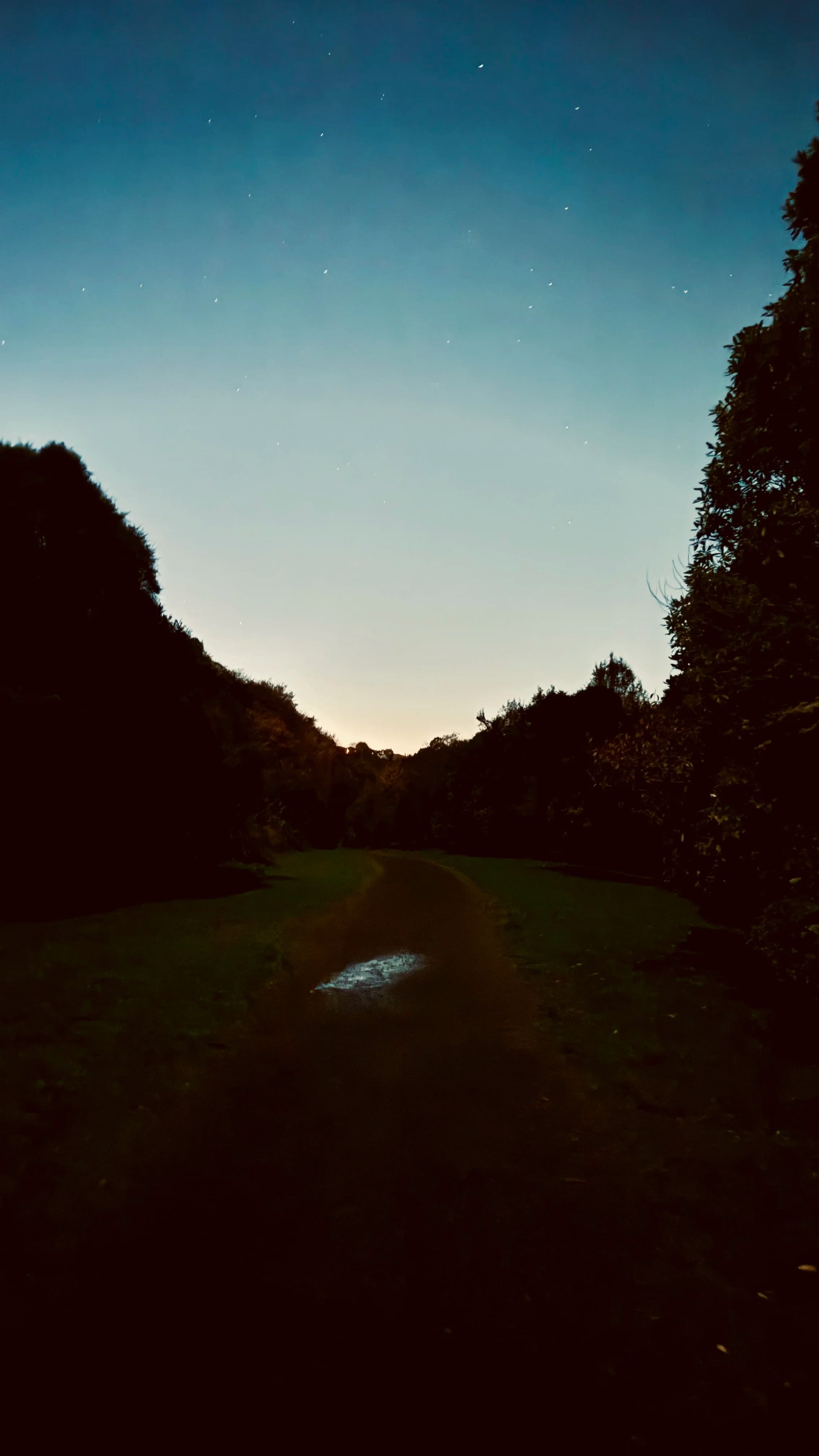 Nighttime scene of a dirt path through a forested valley with starry sky overhead and a faint glow on the horizon, reflecting in a small puddle on the ground.